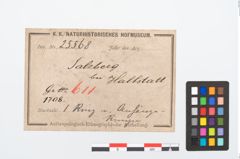 Etikett zu Bronzegehänge (NHMW-PRAE-025568)